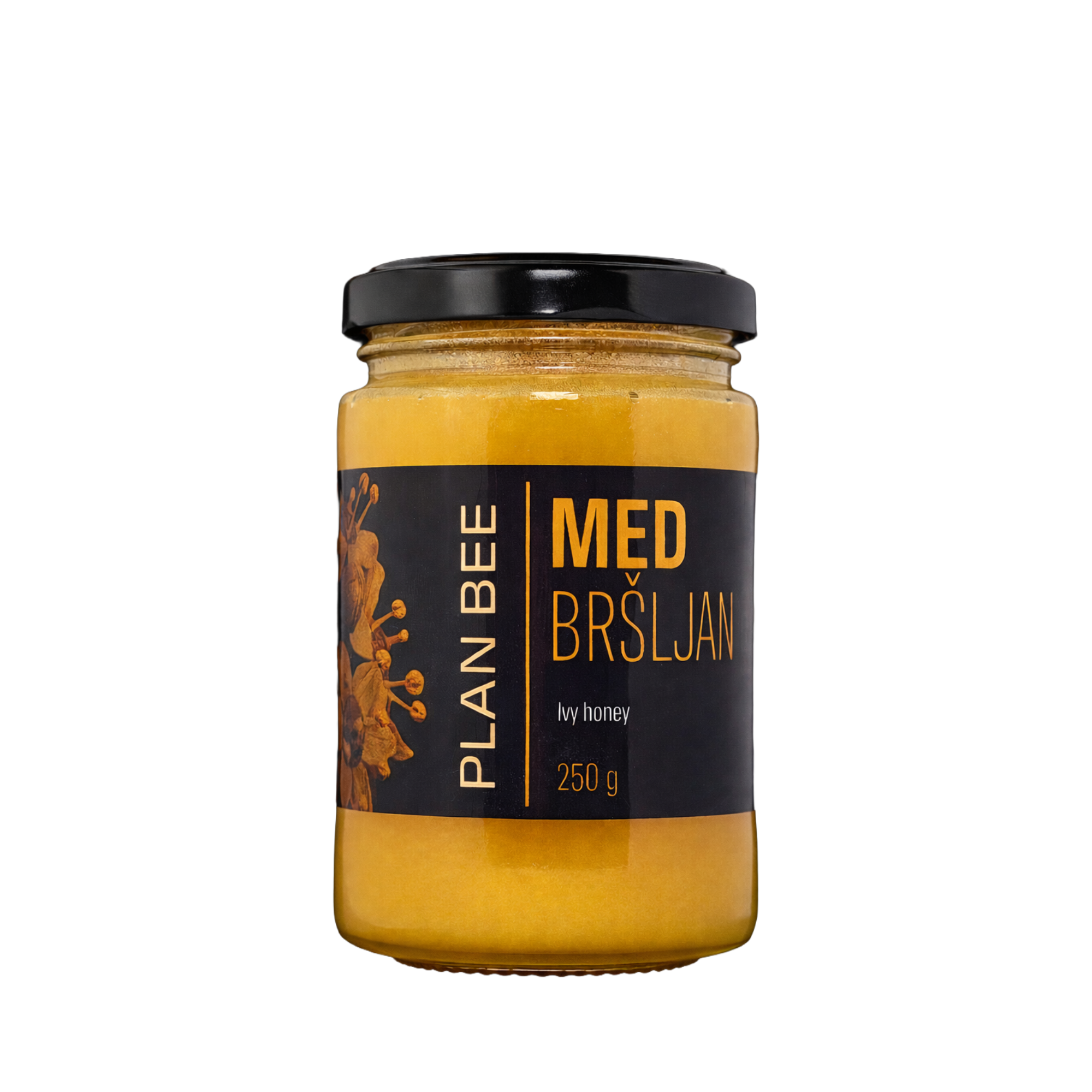 Med bršljan